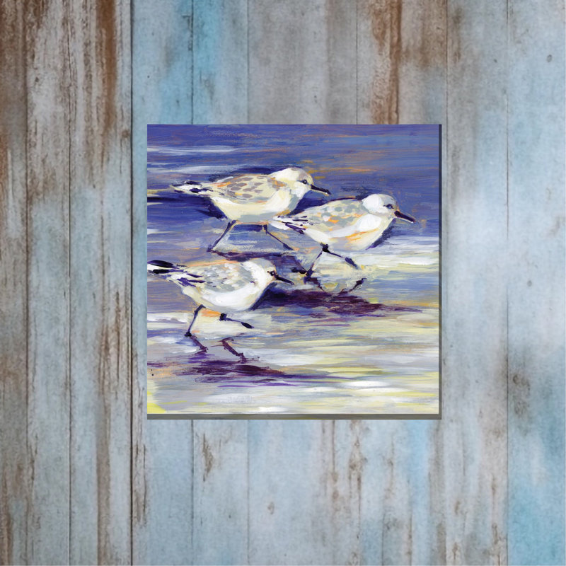 Art extérieur Sandpipers