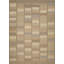 Geometric Area Rug in Beige