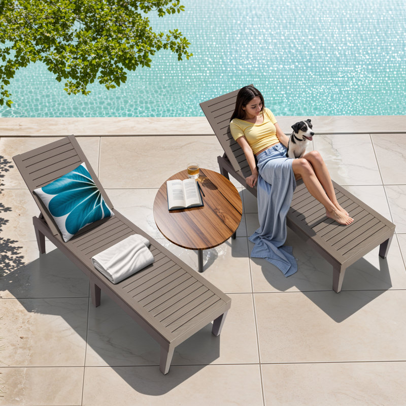 Ensemble de 2 chaises longues de patio avec dossier réglable, Gris