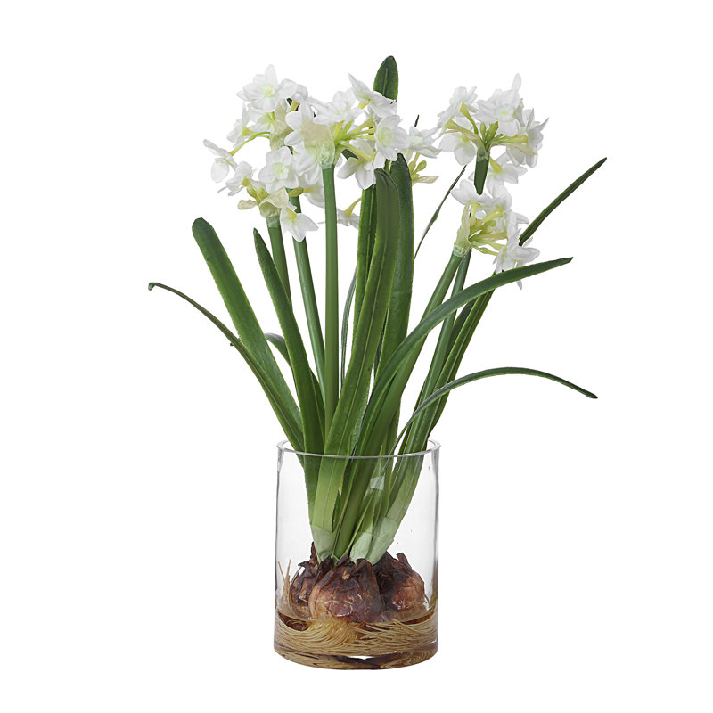 Arrangement Zoel