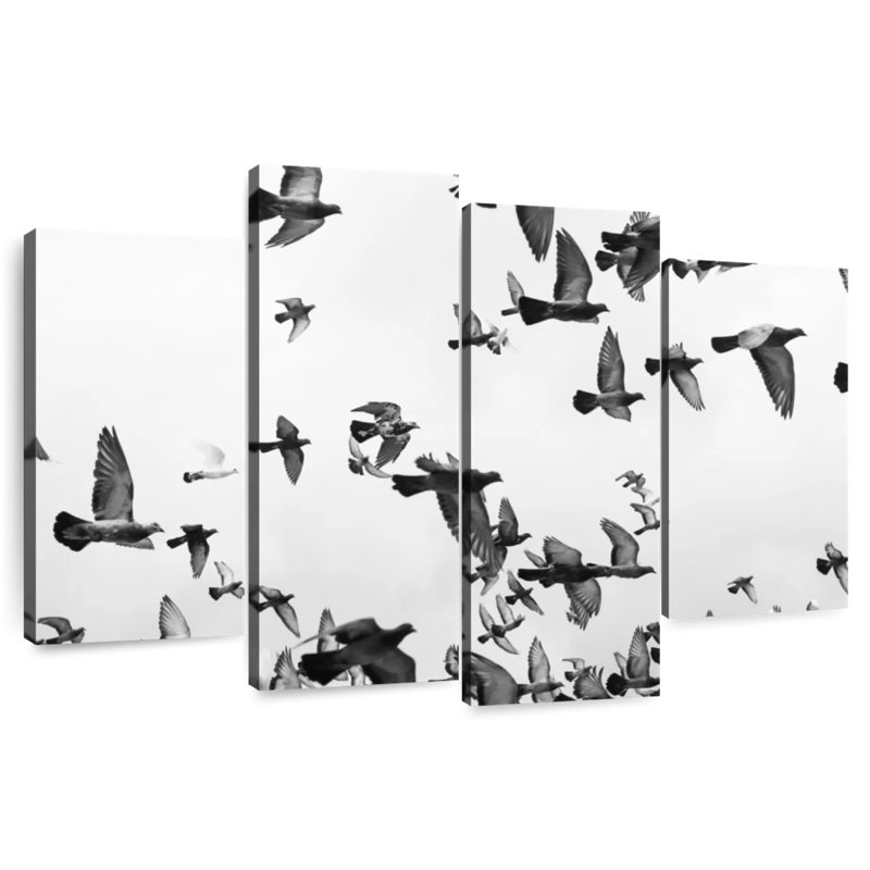 Brampt Pigeon Flock