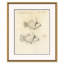 Odd Fish Giclee Print