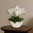 Phalaenopsis Silk Arrangement with Vase