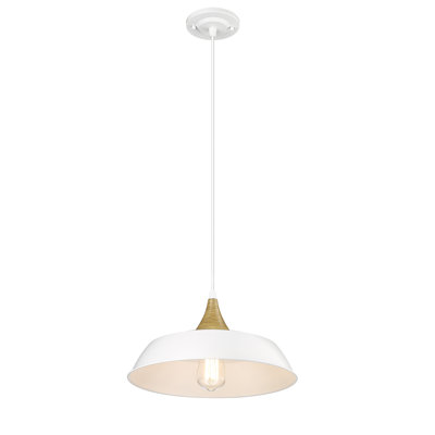 Elisabet Single Light Metal Dimmable Pendant