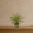 Maiden Hair Artificial Plant in Decorative Planter