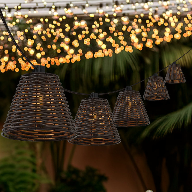 Birnir 10-Light Indoor/Outdoor 10 ft. Classic Cottage Incandescent G40 String Lights, Black