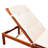 Outdoor Chaise Lounge