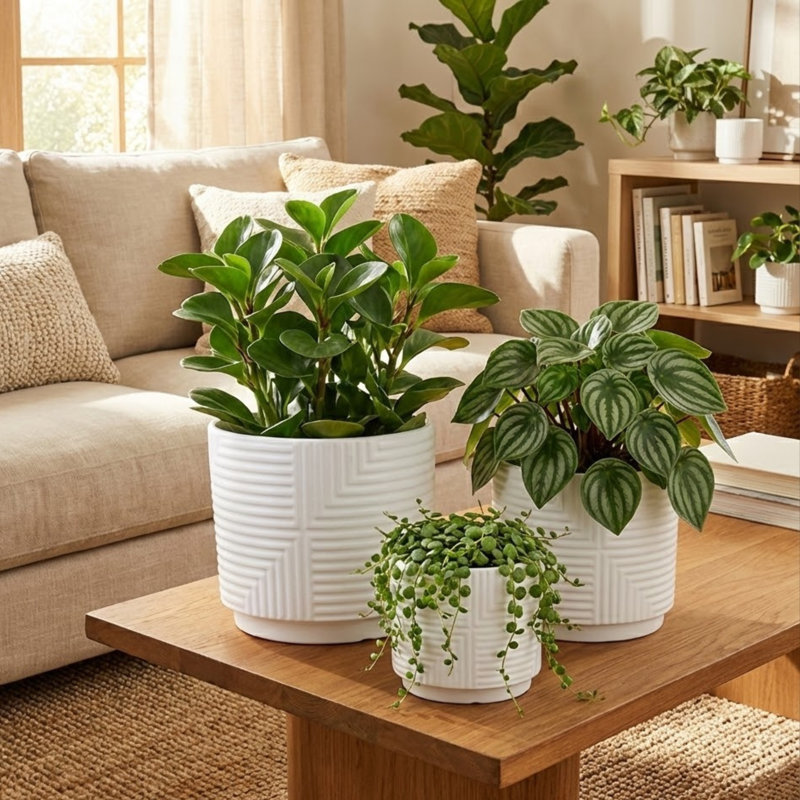 Ensemble de 3 pots à fleurs en grès blanc avec motif géométrique