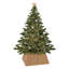 Other Tree Collar