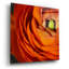 «Orange Flower Close Up» par Tom Quartermaine-499981868
