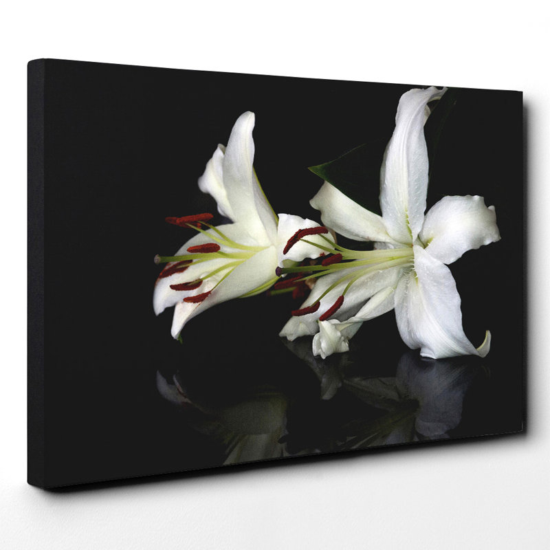 Wrapped Canvas Print, 40cm H x 60cm W