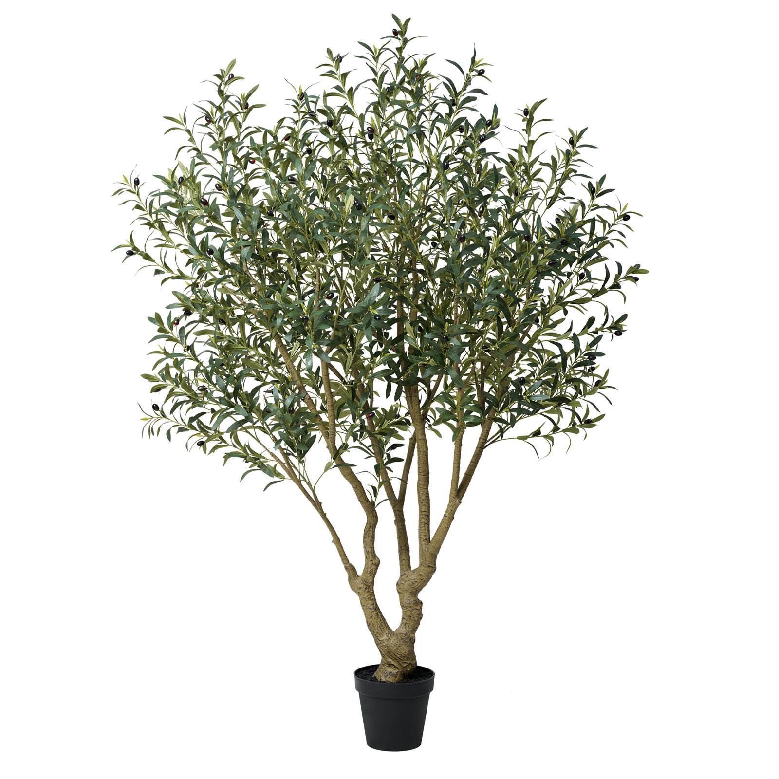 Adcock Olive Tree in Pot, 84" H x 32"W x 32" D
