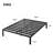 Wachapreague 14'' Heavy Duty Steel Bed Frame-3072642
