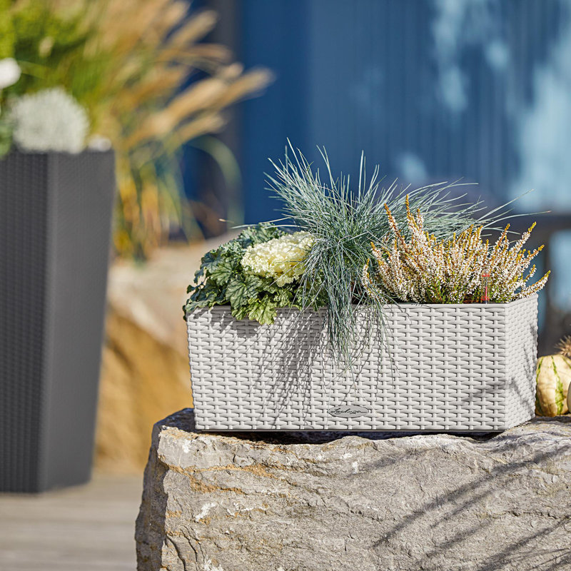 Balconera Window Box Planter, 19 cm H x 50 cm W x 19 cm D, Light Grey