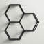 Wingard 3 Piece Hexagon Metal Accent Shelf