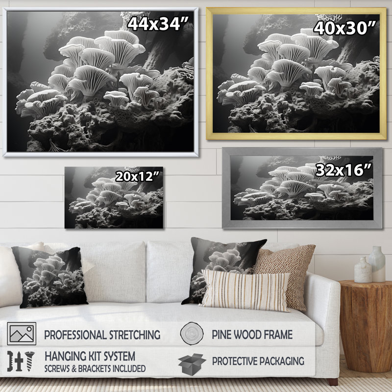 Anémone noire et blanche I sur toile, H 30 po x l 40 po x P 1,5 po, Cadre flottant doré