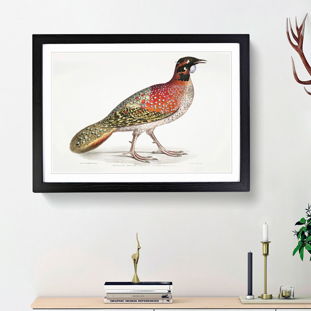 Pennant's Horned Pheasant by John Edward Gray - Picture Frame Painting Print