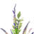 Lavender Arrangement