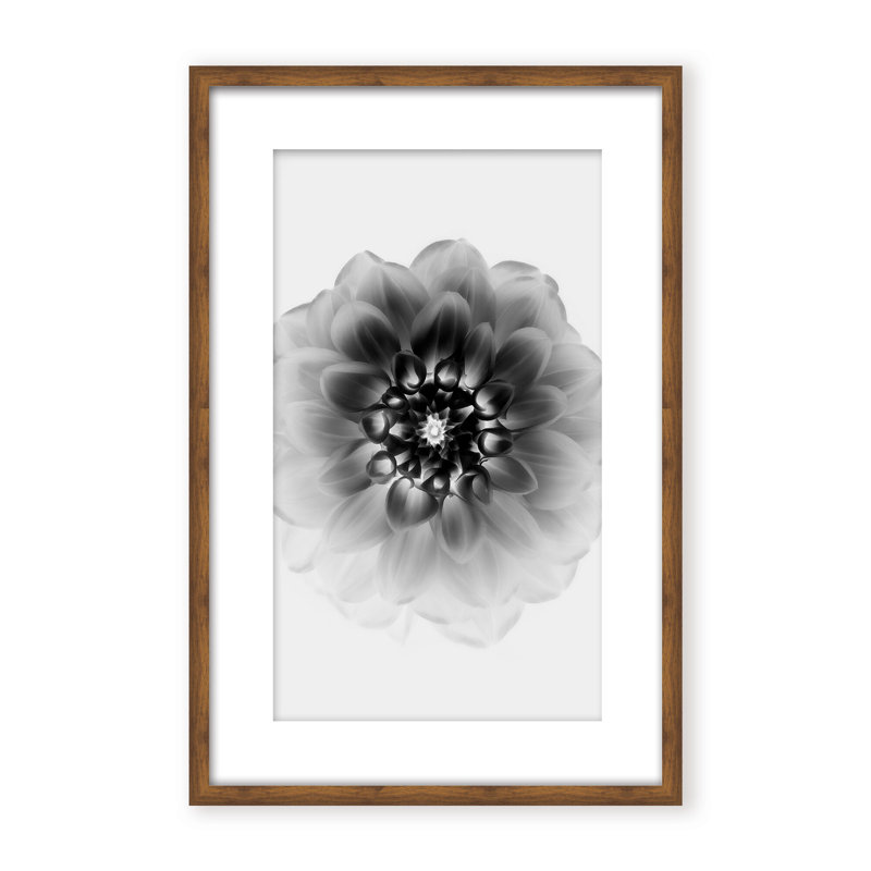 X-Ray Print by Alex Zhao, 48" H x 32" W x 1.125" D, Black, Framed Matted Print