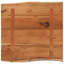 Alpen Home Table Top Rectangular Solid Wood-1008352794-1008352796