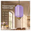 Suspension en laiton de style moderne du milieu du siècle, avec lumière-1738455016