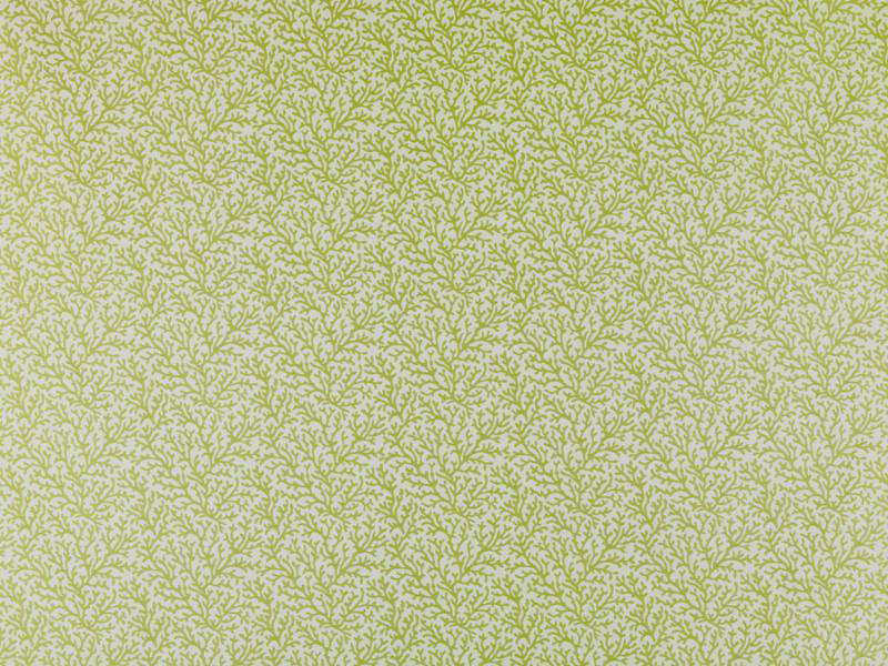 Addison All Purpose Fabric, Kiwi