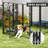 Spacious Pet Kennel