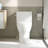 Concord Elongated One-Piece Toilet,  12" Rough In Size White Toilet with Comofrt ADA Seat Height Toilet (Seat Included)-100542132