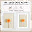 Picture Frame - Set of 6 with Mat-79323026