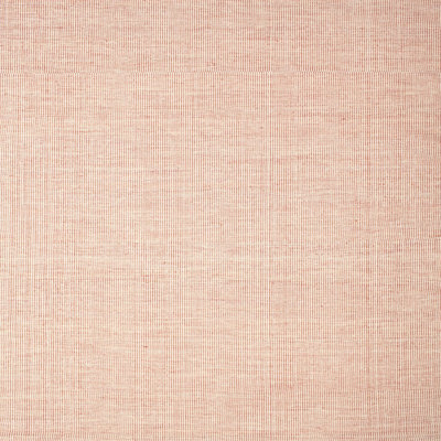 Indoor Rug