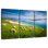 Brampt Sheep In Paradise