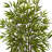 Faux Bamboo Tree in Planter-1223083804