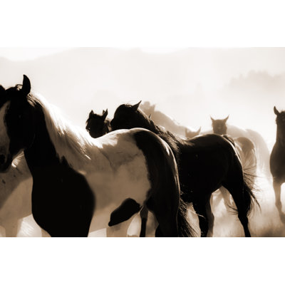 Cowboys: Male Wrangler Herds Horses. Horseback Riding. Ranch Life. Sepia. by Fstop123 - No Frame Print on Canvas