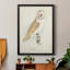 Toile encadrée de qualité supérieure Barn Owl - prête à être accrochée-1084533014-1084533001