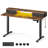 Namiya 51.5‘’H Height Adjustable Rectangle Standing Desk-977088013-974938054