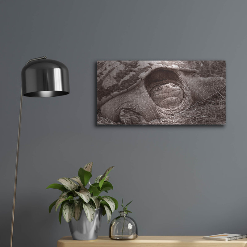 «Buffalo River 11» par Gordon Semmens, H 12 po x l 24 po