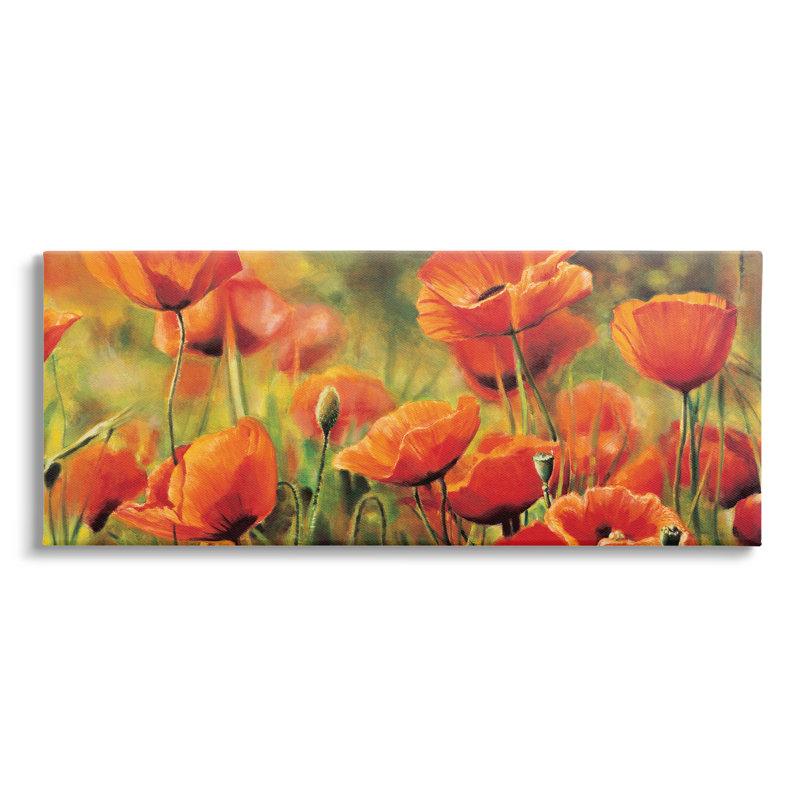 «Wild Poppy Flowers Spring Blooms» par Pierre Viollet - Peinture, H 10 po x l 24 po x P 1,5 po, Toile tendue
