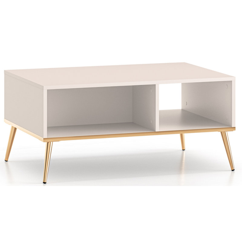 Coffee Table with Storage