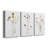" Pressed Botanical I " 3 - Pieces-1966438093
