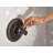 Belfield Tub and Shower Faucet-59698856