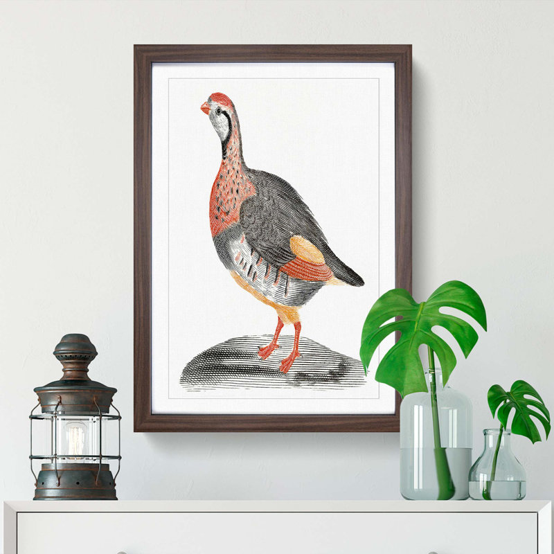 A Partridge by Johan Teyler - Single Picture Frame Painting, 63cm H x 45cm W x 2cm D, Walnut Framed