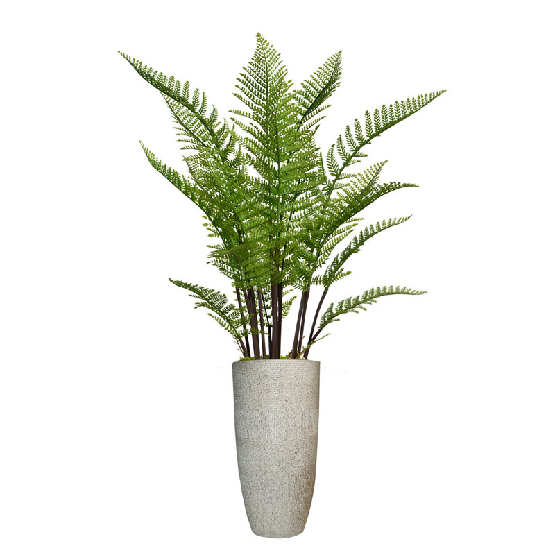 Panama 56" Artificial Fern Tree in Planter