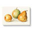 Vintage Illustrations Of Pears - Wrapped Canvas-55302131