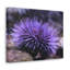 No Frame Print on Canvas