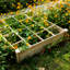 Ensemble de lit de jardin surélevé Outsunny