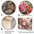 " Poteries Geraniums Sunset "-2036371947-2036371941