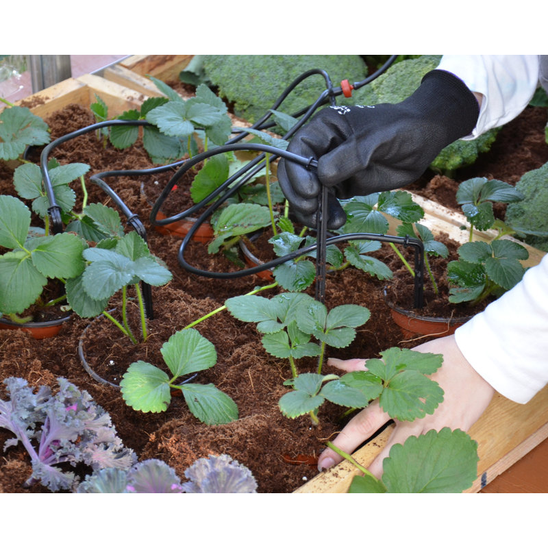 Palram - Canopia Greenhouse Drip Irrigation Kit Watering and Maintenance