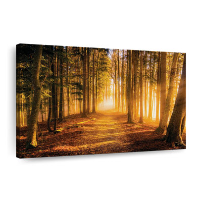 " Morning Forest Path " by Michael A