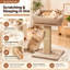 Arbre à chat de 75 cm de haut, poteau à griffer en sisal naturel avec perchoir surélevé, large base stable, tour à chat en peluche douce pour chats d'intérieur