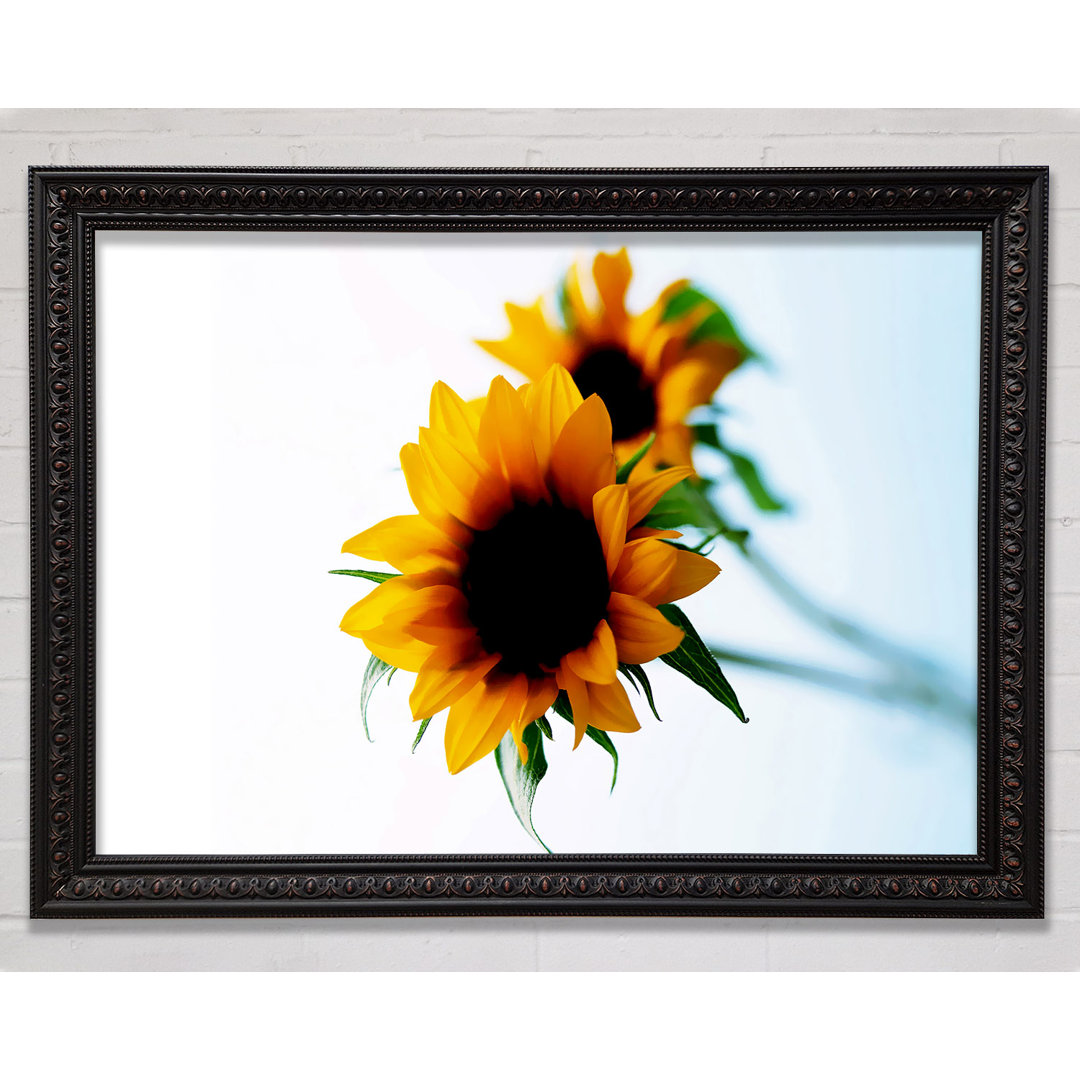 Gelbe Sonnenblume Duo - Druck